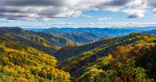 Campgrounds and picnic areas: These are the things getting cut at national parks