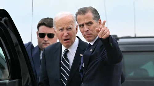 Hunter Biden responds to Warren's anti-crypto army