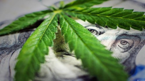 Top Cannabis Stocks to Buy in 2021