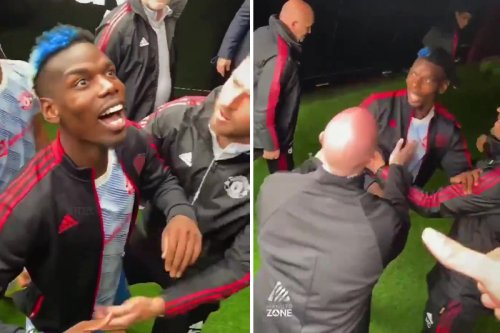 Watch Pogba get dragged down tunnel by Carrick after West Ham fans abuse him
