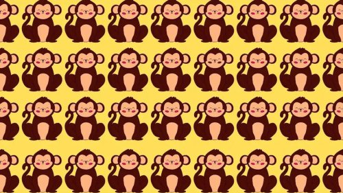 Everyone can see the troop of monkeys – but you have 20/20 vision if you spot the odd one out in ten seconds or less