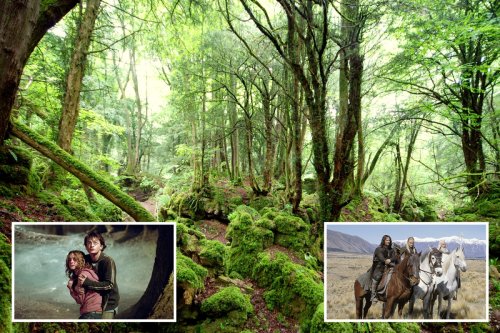 The creepy UK woods to visit that inspired Lord of the Rings & Harry Potter