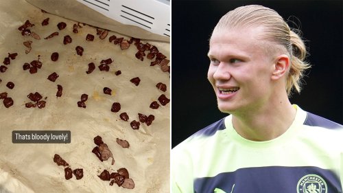 Fans Horrified By Erling Haaland’s ‘disgusting’ Food As He Shares Pic ...