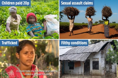 Shocking abuse behind our cuppa with kids of 10 paid 20p a day and women raped