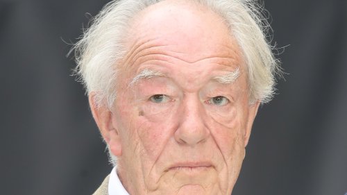 Was Sir Michael Gambon in Lord of the Rings?