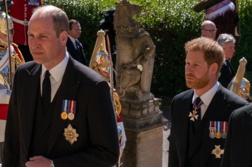 Prince Harry and Prince William 'not talking at the moment', royal expert claims