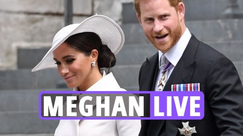 Meghan Markle latest news: Prince Harry is ‘mesmerised’ by Meghan as expert brands the Duke a ‘performing seal’