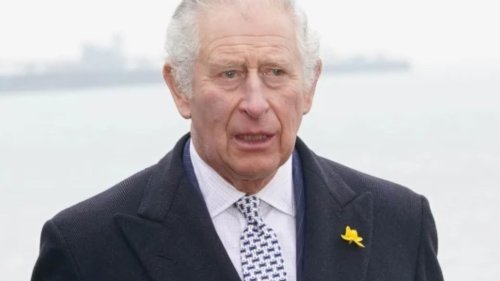 Queen Elizabeth news – Prince Charles is a bigger problem than Harry AND Andrew, worried royal experts fear