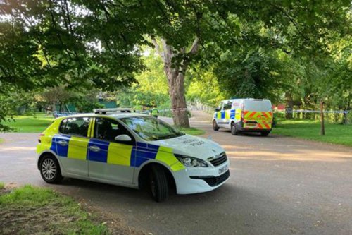 Girl, 16, charged with attempted murder as man, 54, fights for life