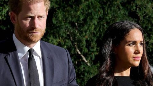 Prince Harry news — MP ‘wants Meghan Markle & duke STRIPPED of titles’ for treacherous attacks on the Royals