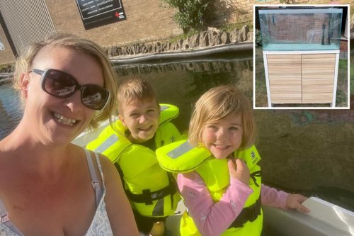 Furious mum fined £400 for not carrying aquarium stand inside fast enough