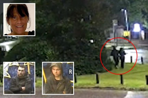 CCTV shows mum grabbed in street before she was found 'bludgeoned to death'