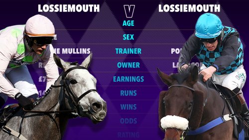 Confusion reigns as two horses with same name set to run in £80,000 ‘battle of the ages’ at Sandown