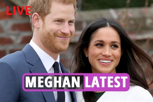 'Ambitious' Meghan 'secretly plot to marry Harry to further her career'