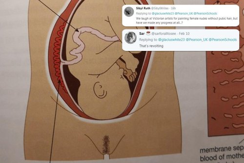Parents baffled at GCSE text book showing pregnant woman with 'porn star'  Brazilian pubic hair | Flipboard