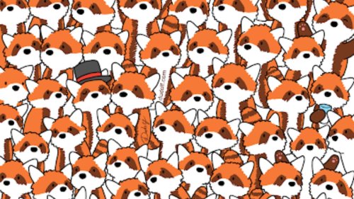 You have 20/20 vision if you can spot the three foxes hiding among the red pandas in under ten seconds