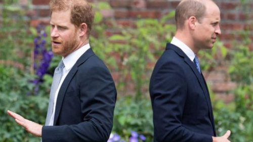 Queen Elizabeth news: Prince Harry & William tensions set to RISE as ‘no end in sight for feud’ ahead of Duke’s book