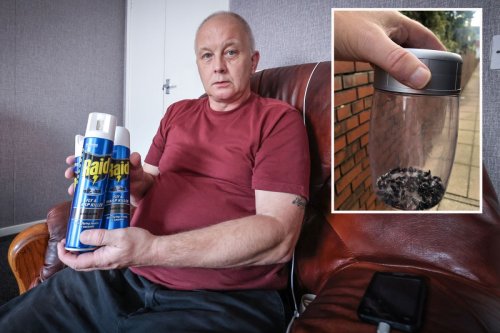Man's house was infested with flies and maggots after neighbour lay dead for weeks