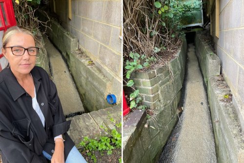 Residents fury as raw sewage gushes in ‘open sewer’ behind homes attracting rats