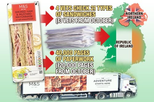 Four vets & 100s of forms needed to get M&S cheese & ham sandwiches into Ireland