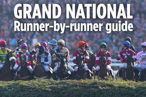 Grand National 2021 runners: COMPLETE horse-by-horse guide to Aintree headliner brought to you by top tipster Templegate