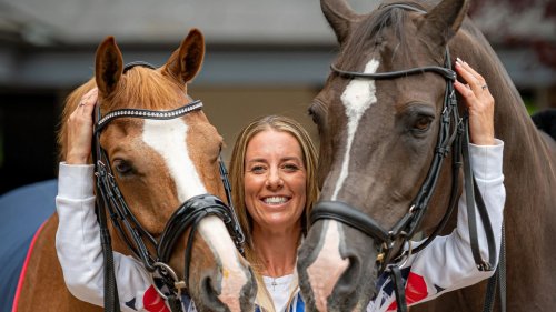 Inside the dark side of dressage where horses have their necks warped by sick riders & cuts are hidden with shoe polish