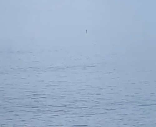 Woman left baffled by 'unidentified object' off the coast of Cornwall