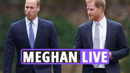 Meghan Markle news: Future King William ‘must pick up the phone’ to Prince Harry & ‘show leadership’ to protect monarchy