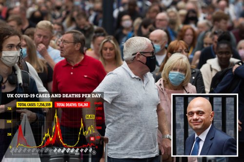 Covid winter plan REVEALED: Masks and work from home order could return
