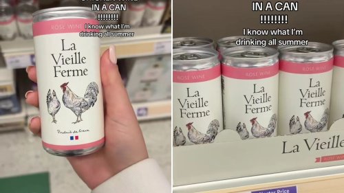 ‘My summer is made’ shoppers exclaim as one of the most loved wines now comes in a can and everyone is stocking up