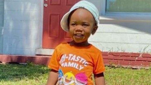Missing toddler Taylen Mosley, 2, found dead in alligator’s mouth near Lake Maggiore, Florida after mom stabbed dead