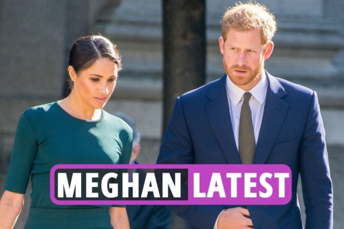Sussexes' new 'sustainable' investment firm sued bank over hijacking woke brand