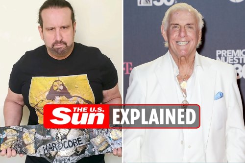 What did Tommy Dreamer say about Ric Flair on Dark Side of the Ring?