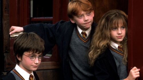 Harry Potter star looks unrecognisable with huge beard 11 years after final film