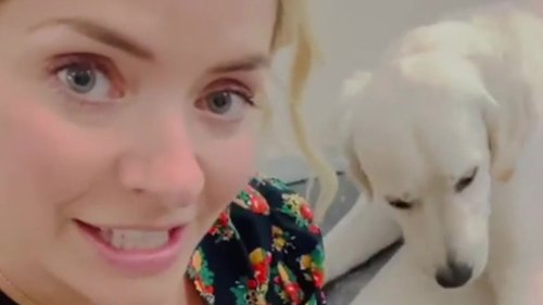 Holly Willoughby shares ‘genius’ household hack for dog owners – and everyone says it’s a game changer