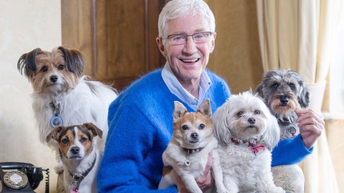 Paul O’Grady died after taking on ‘exhausting’ amount of work following BBC axe