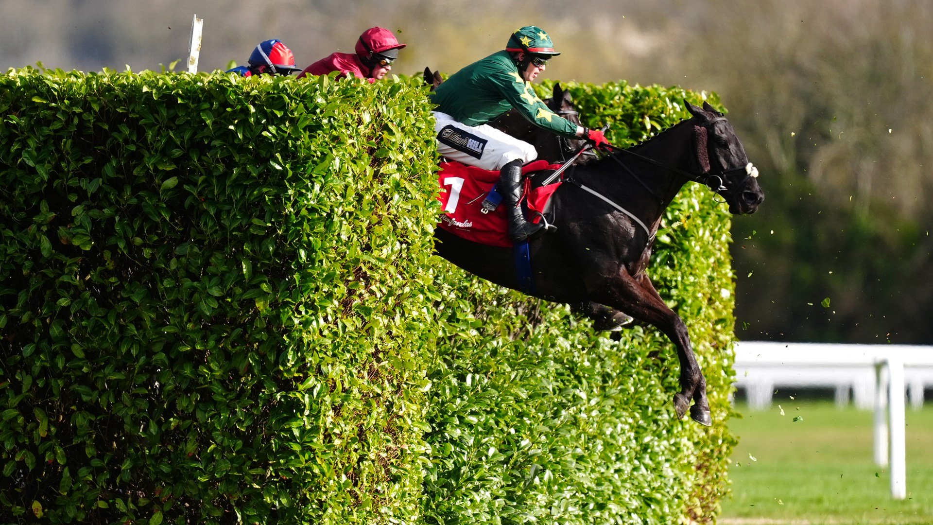 ‘The next Tiger Roll’ proving ‘most popular’ Grand National bet after record-breaking Cheltenham Festival win
