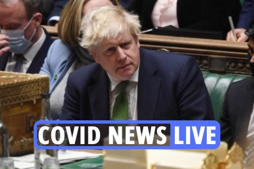 Boris Johnson news – PM’s baby daughter Romy was ‘badly ill’ from COVID forcing him to isolate during No.10 party crisis