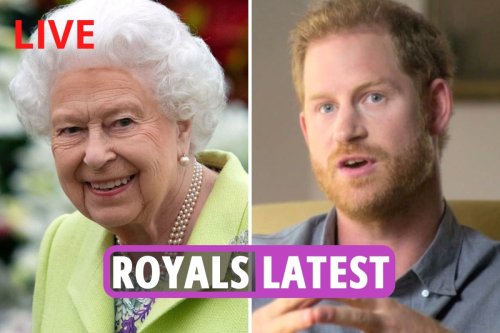 Selfish Harry 'doesn't give a DAMN about Queen or William & may destroy them'