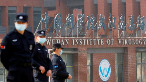 I worked with the Wuhan lab – I tried to warn them & I KNOW Covid was a lab leak