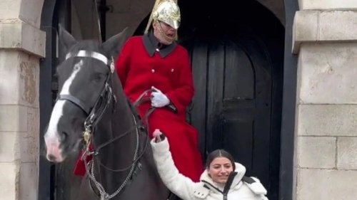Watch as King’s Guard yells at tourist as she tries to grab horse’s reins to pose for a photo