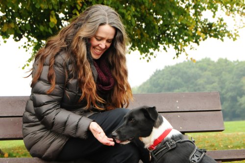 I’m a professional dog trainer – this is why you shouldn’t walk your dog everyday