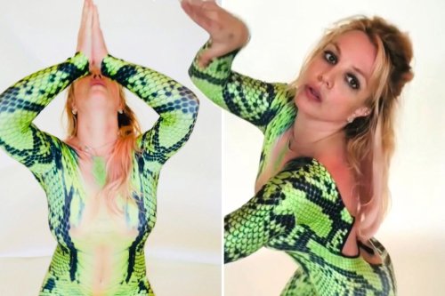 Britney Spears shocks fans as she calls herself a 'motherf***ing snake' in rant