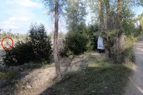 Sleuths think they've spotted someone digging in field near where van seen