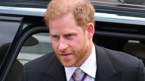 Meghan Markle news latest: Prince Harry’s shock memoir will be ‘most DEVASTATING release’ to hit Firm since Diana’s book