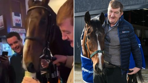 Meet the Guinness-drinking horse backed to win the Grand National after being bought for just £850