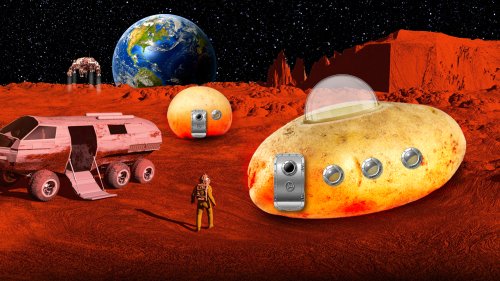 Mars settlers could live in giant potato homes made from ‘space vegetables’ grown on red planet