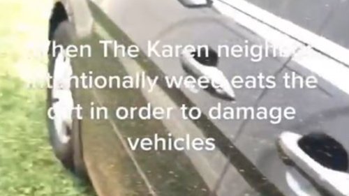 Woman fumes at ‘Karen’ neighbour for damaging her car – but not everybody is convinced