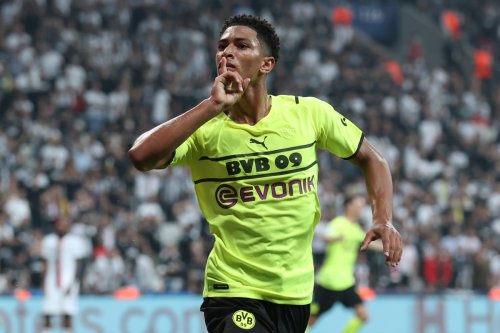 Puma apologise to furious Borussia Dortmund fans over new cup kit