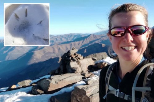 Missing Brit hiker Esther Dingley ‘may have been killed by a mountain bear’